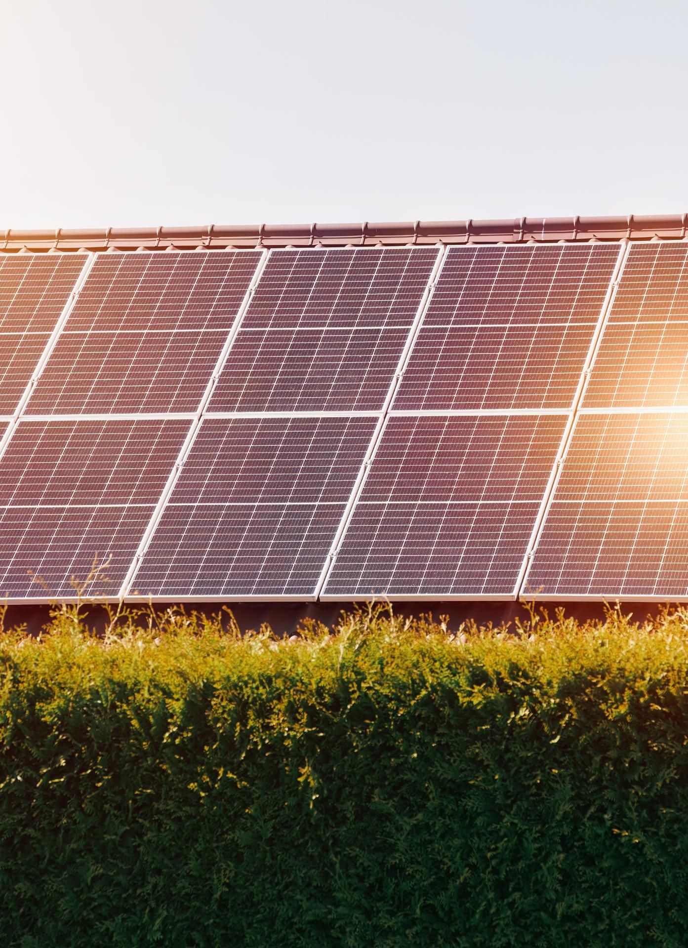 IQ Solar zonnepanelen